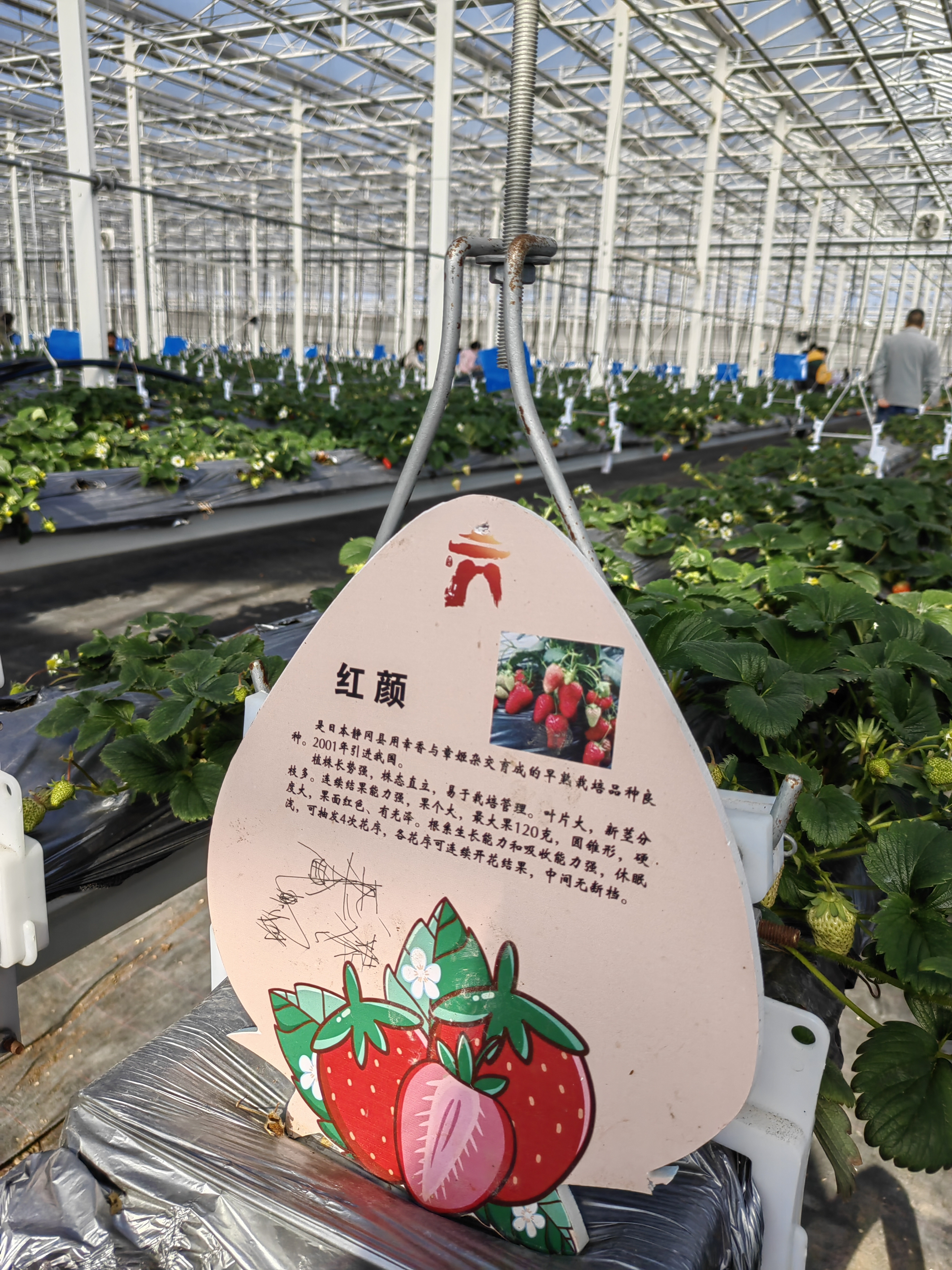 2022.02.25 南(nán)京溧水(shuǐ)傅家(jiā)邊團建活動